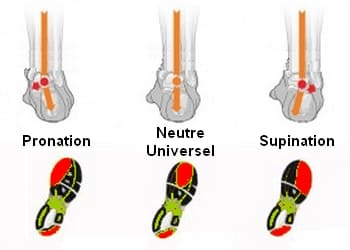 Types d'appuis du pied